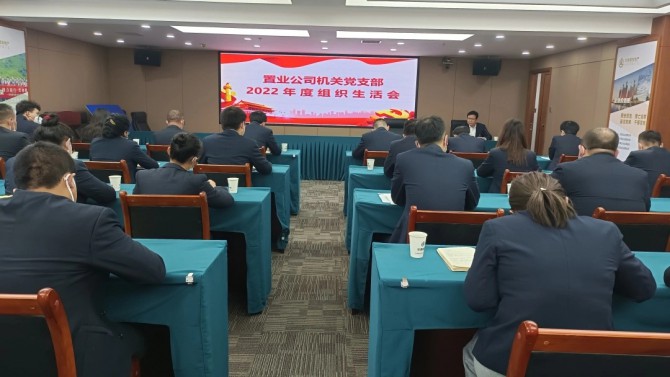 置业公司各党支部召开2022年度组织生活会